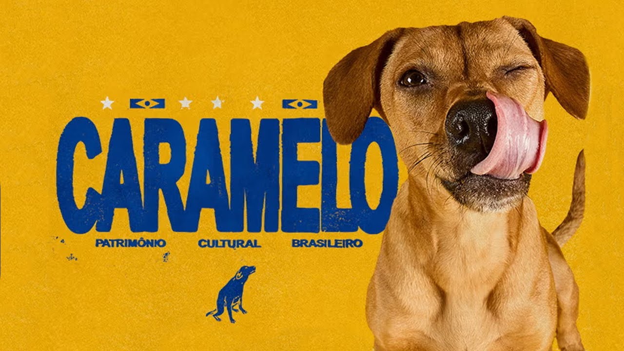 Pedigree - Caramelo (case study)