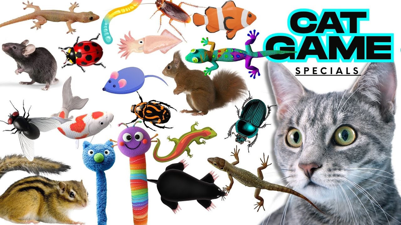 CAT GAMES Little Mouse 3D| Ultimate Compilation Catching The LIZARDS, Flies,FireBugs🦎11 HOUR🦎Vol 648