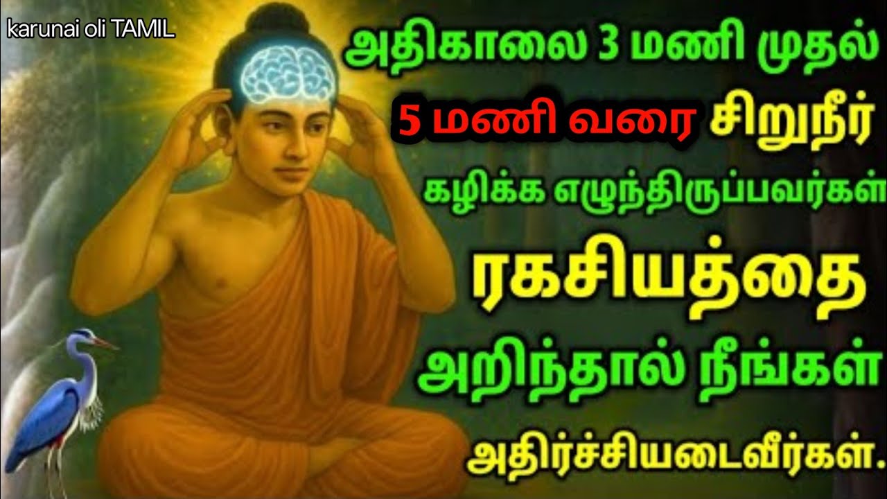 ஏன் அதிகாலை 3:00 - 5:00 மணிக்கு உறக்கம் கலைகிறது?| பிரம்ம முகூர்த்தத்தின் ரகசியம்