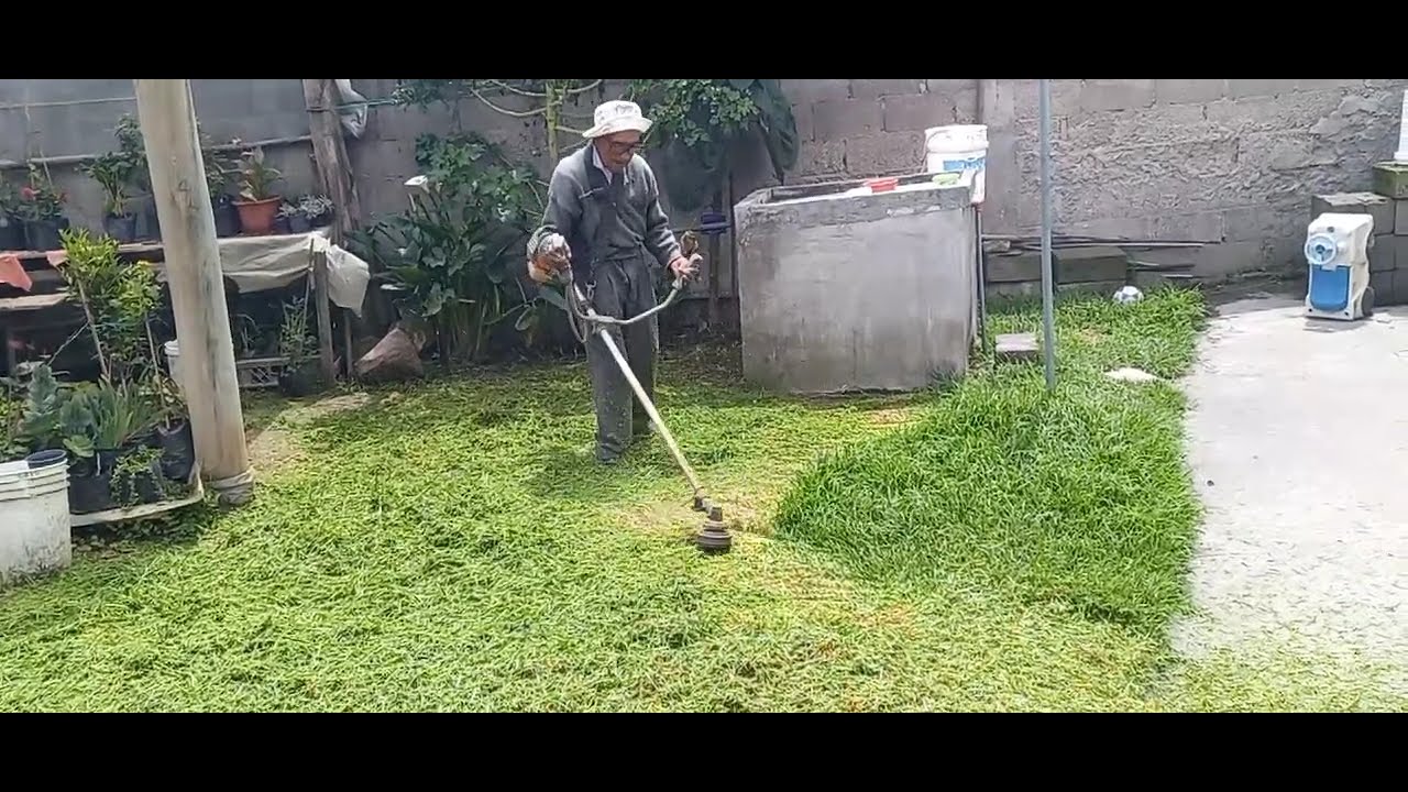 Como cortar de un modo correcto el pasto 