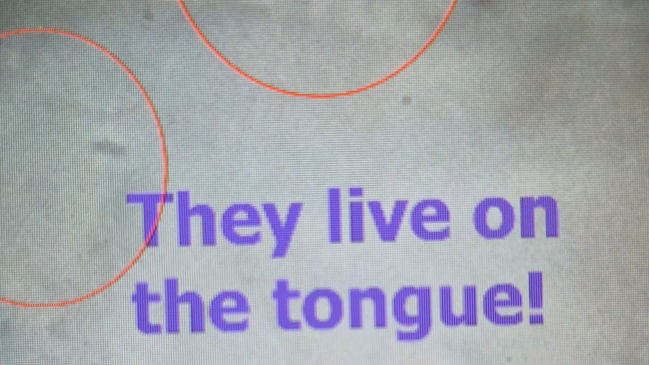 What I Discovered in Tongue Coating Under the Microscope