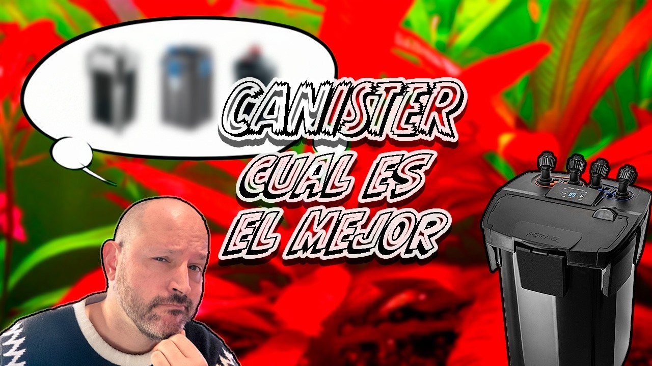 ¡Los MEJORES y PEORES filtros canister para tu acuario! 🐠💧