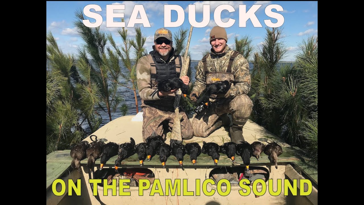 Pamlico Sea Ducks | Carolina ALL OUT | S4/Ep1
