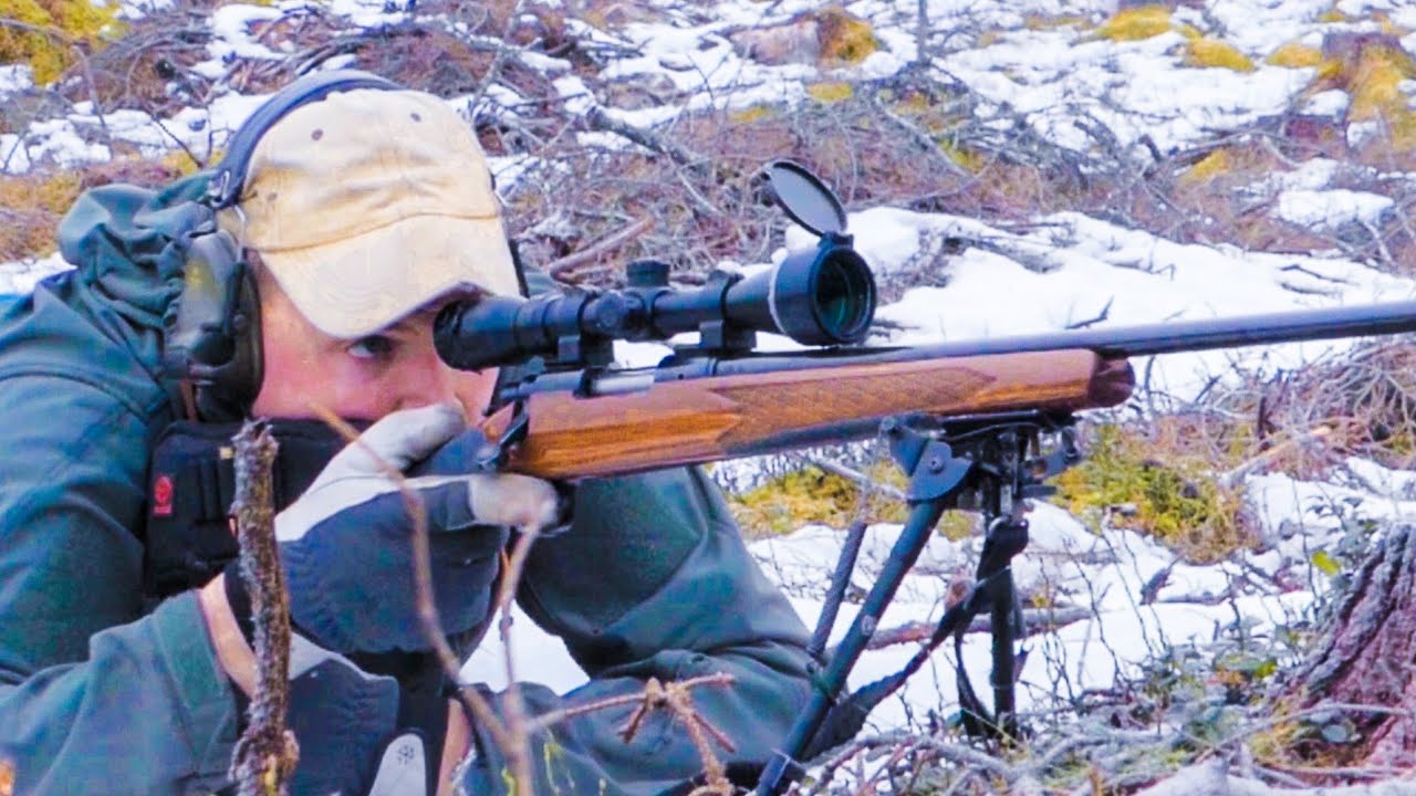 Toppf&aring;geljakt &Aring;RETS B&Auml;STA film | Hunting Family