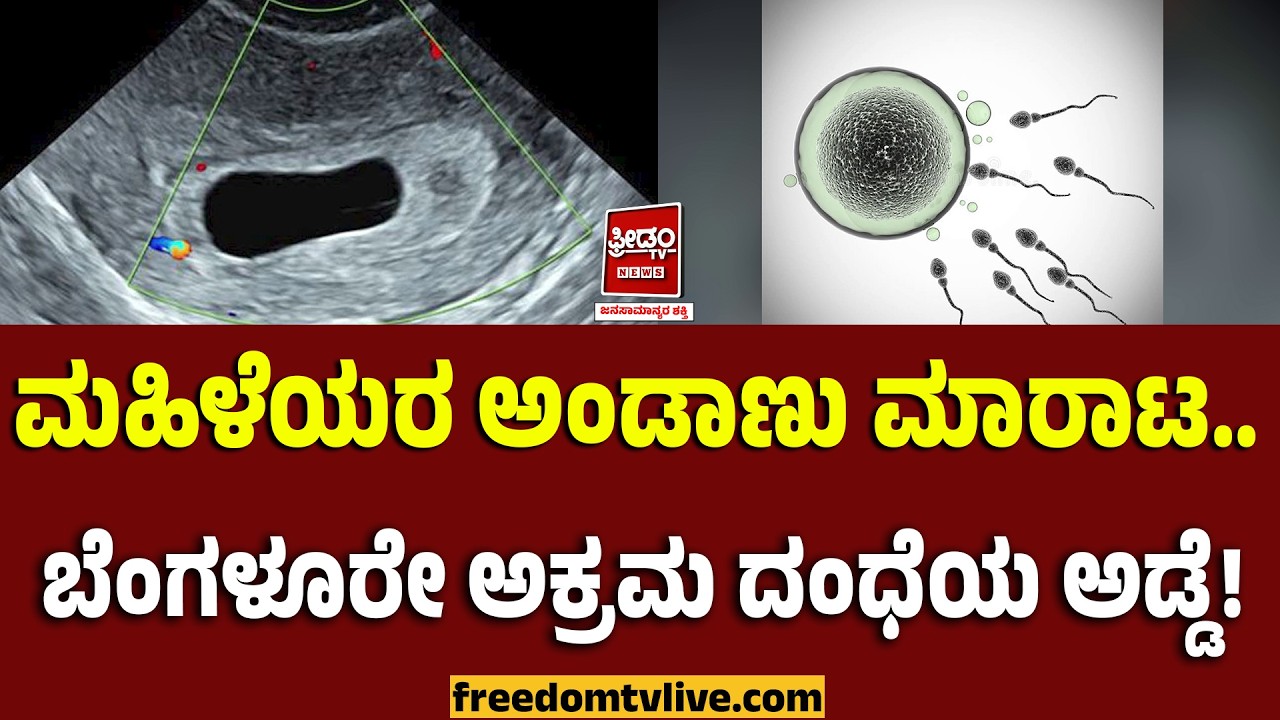 Egg Donation: ಮಹಿಳೆಯರ ಅಂಡಾಣು ಮಾರಾಟ .. ಬೆಂಗಳೂರೇ ಈ ಅಕ್ರಮ ದಂಧೆಯ ಅಡ್ಡೆ..! | FreedomTV Kannada