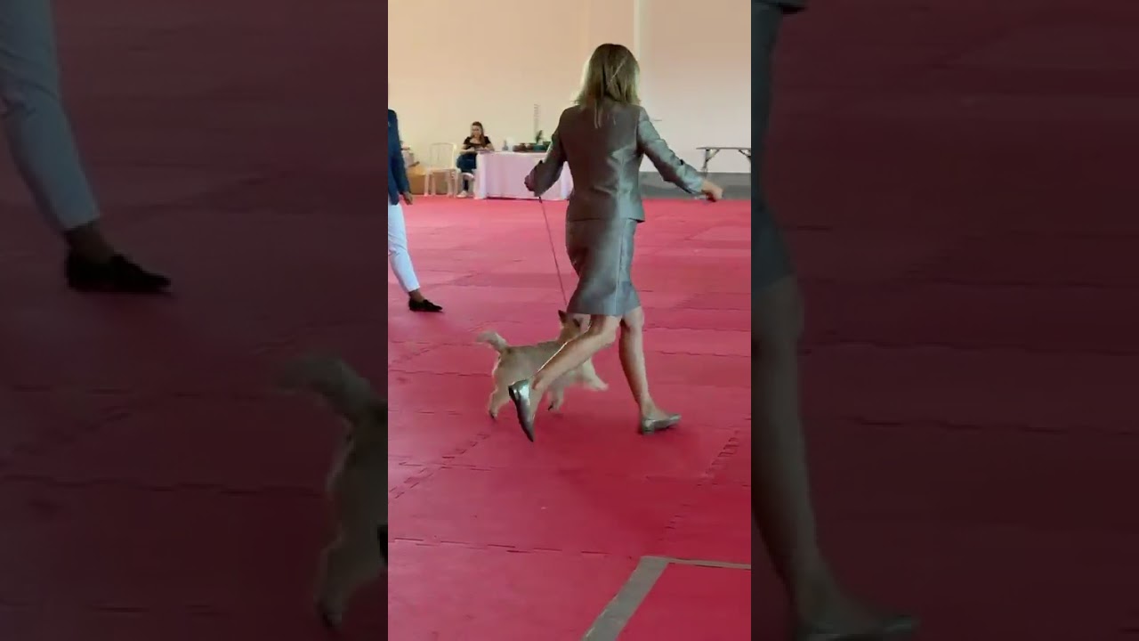 CBKC Grand Series - Bras&iacute;lia, mar&ccedil;o de 2026