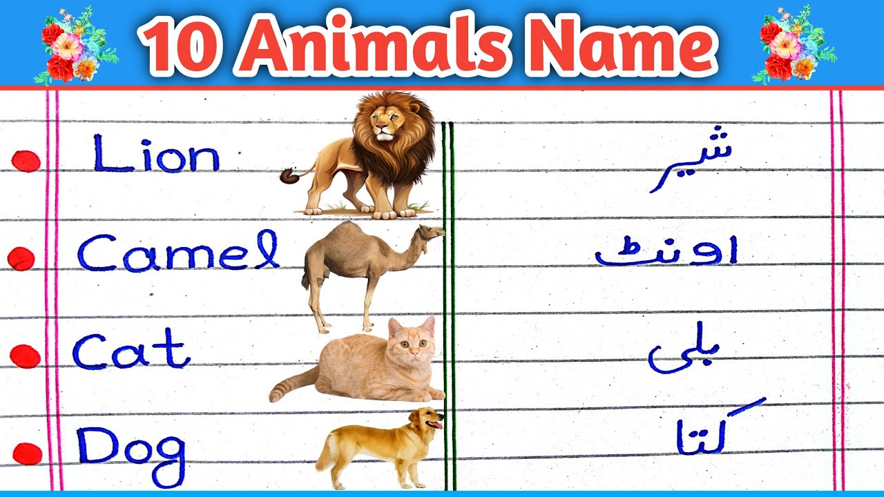 10 Janvaron Ke Naam Urdu aur English Mein | Janwaron Ke Naam Urdu Mein | Animals Name