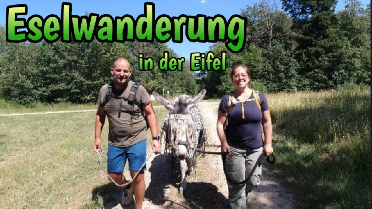Eselwanderung in der Eifel