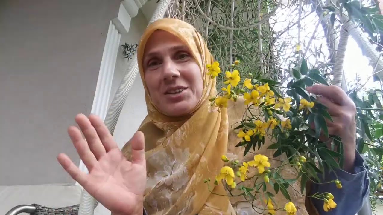 Sinameki (Senna)