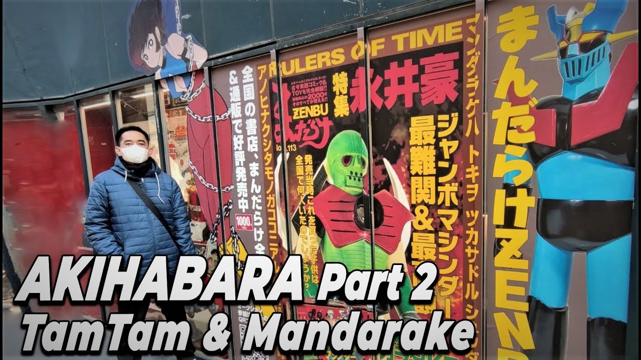 AKIHABARA part-2 : TamTam Hobby Shop & Mandarake
