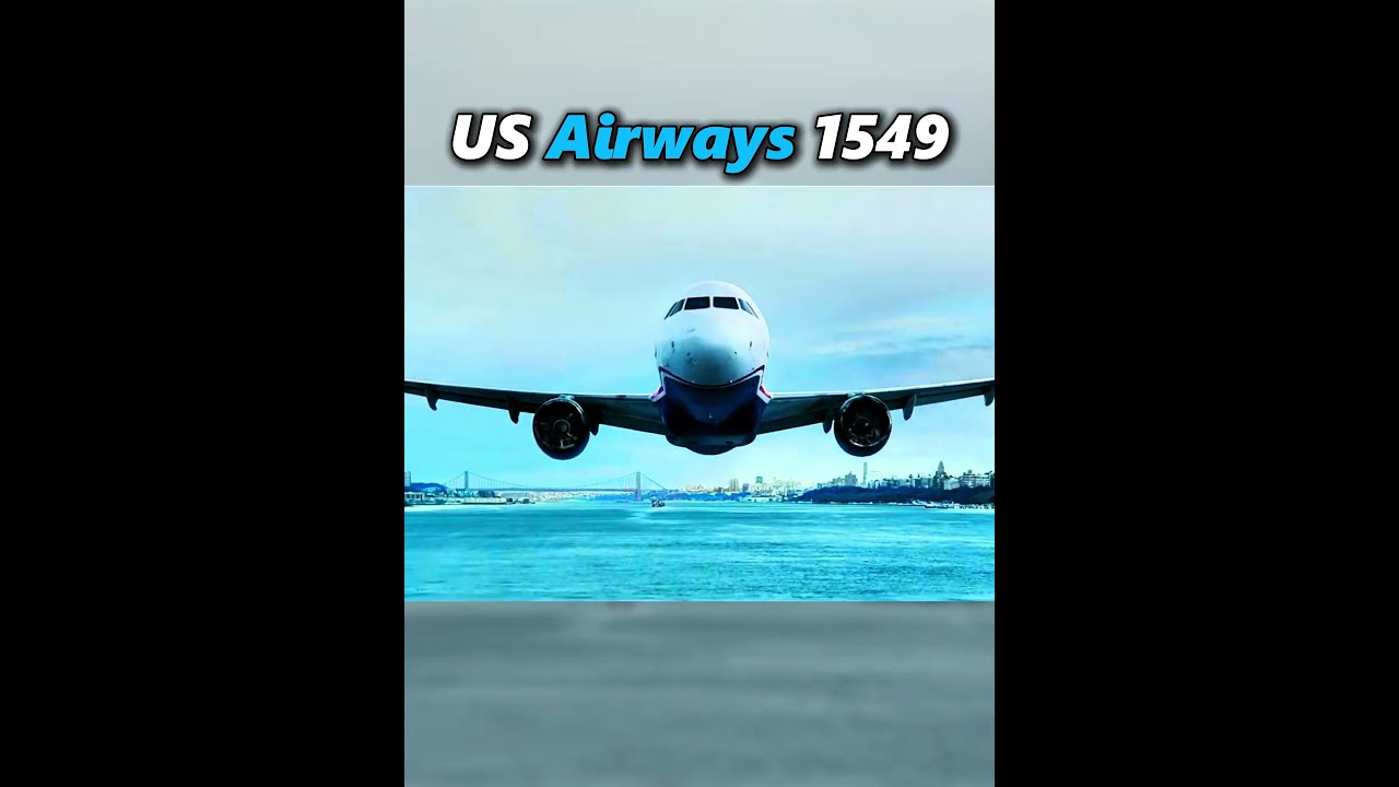 Legendary Aviation Pilots 🫡 #aviation #shorts #plane #crash #airplane