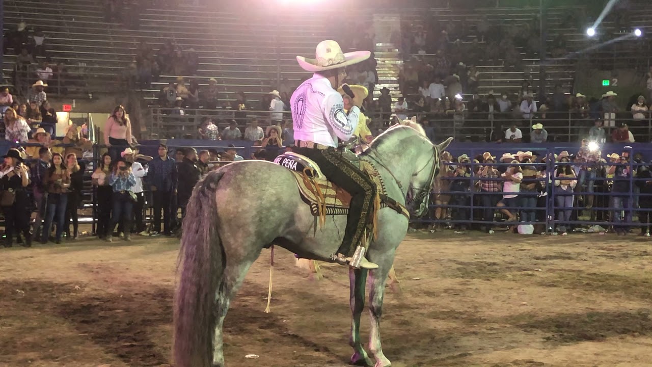 ezequiel Pena y Ezequiel Pena jr. Que te a dado esa Mujer Picó Rivera
