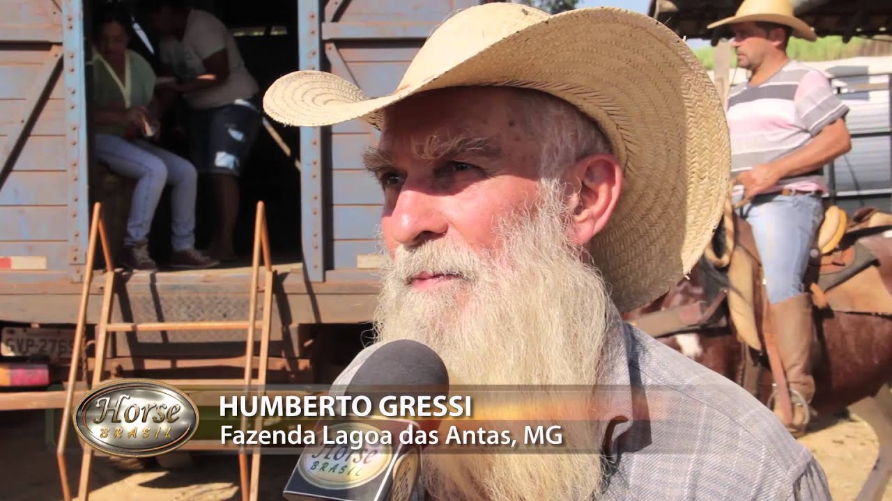MULADEIROS