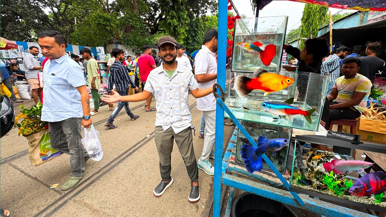 1 million collections at Galiff Street/Pakhi Market Kolkata!!❤️❤️