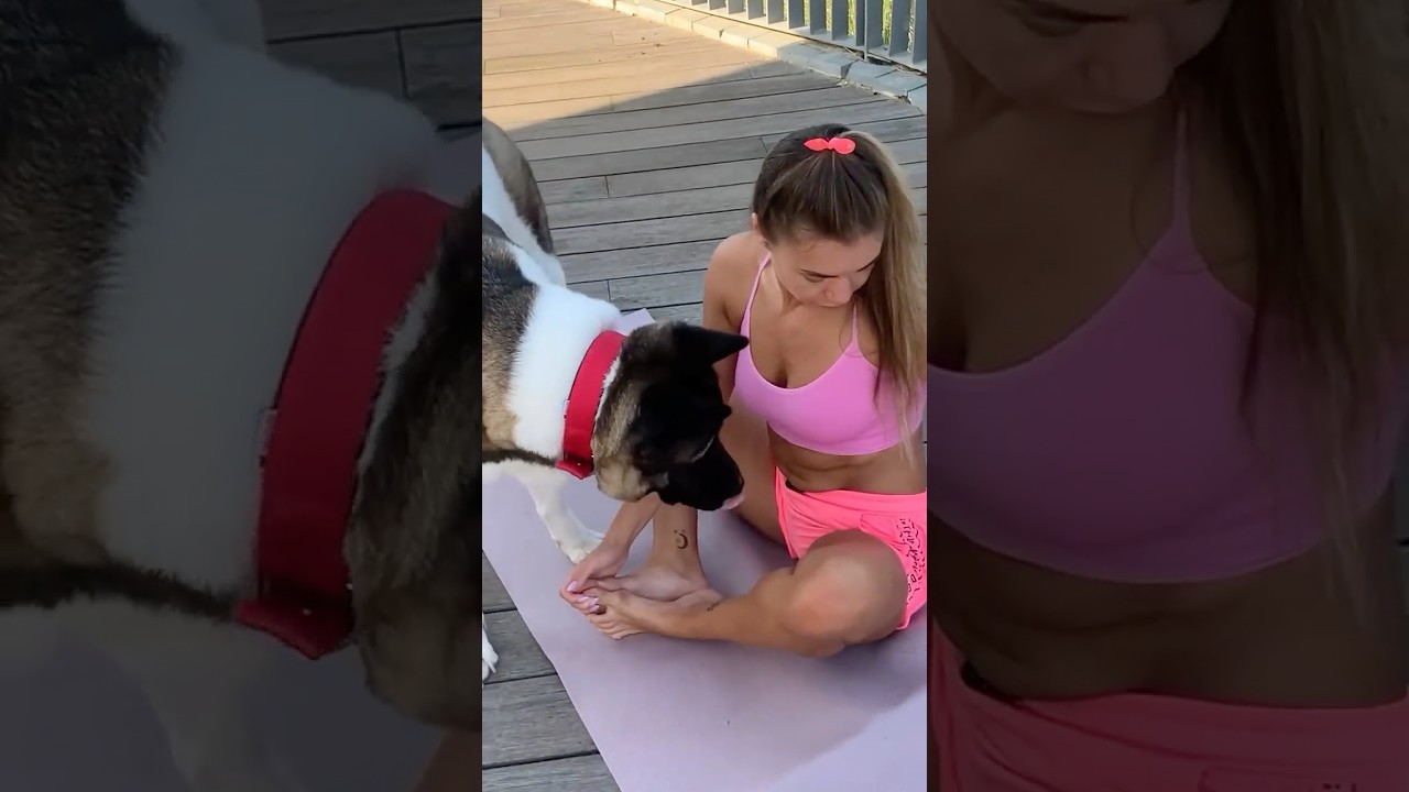 Epic Dog vs. Home Workout Fail! 😆 #dog #funny #videos #funnyshorts #yoga #workout #girl