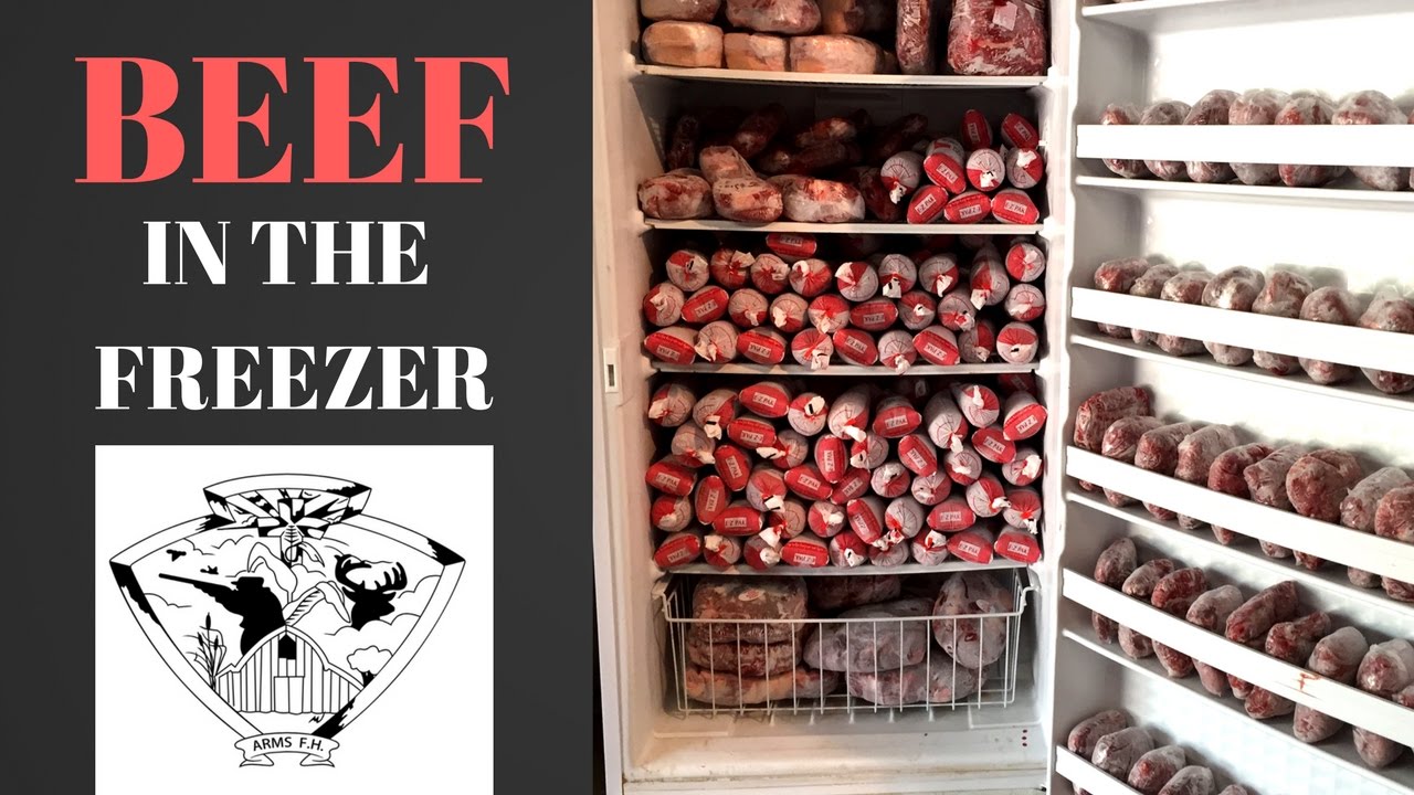 Freezer Full of Fresh Grass Fed Beef