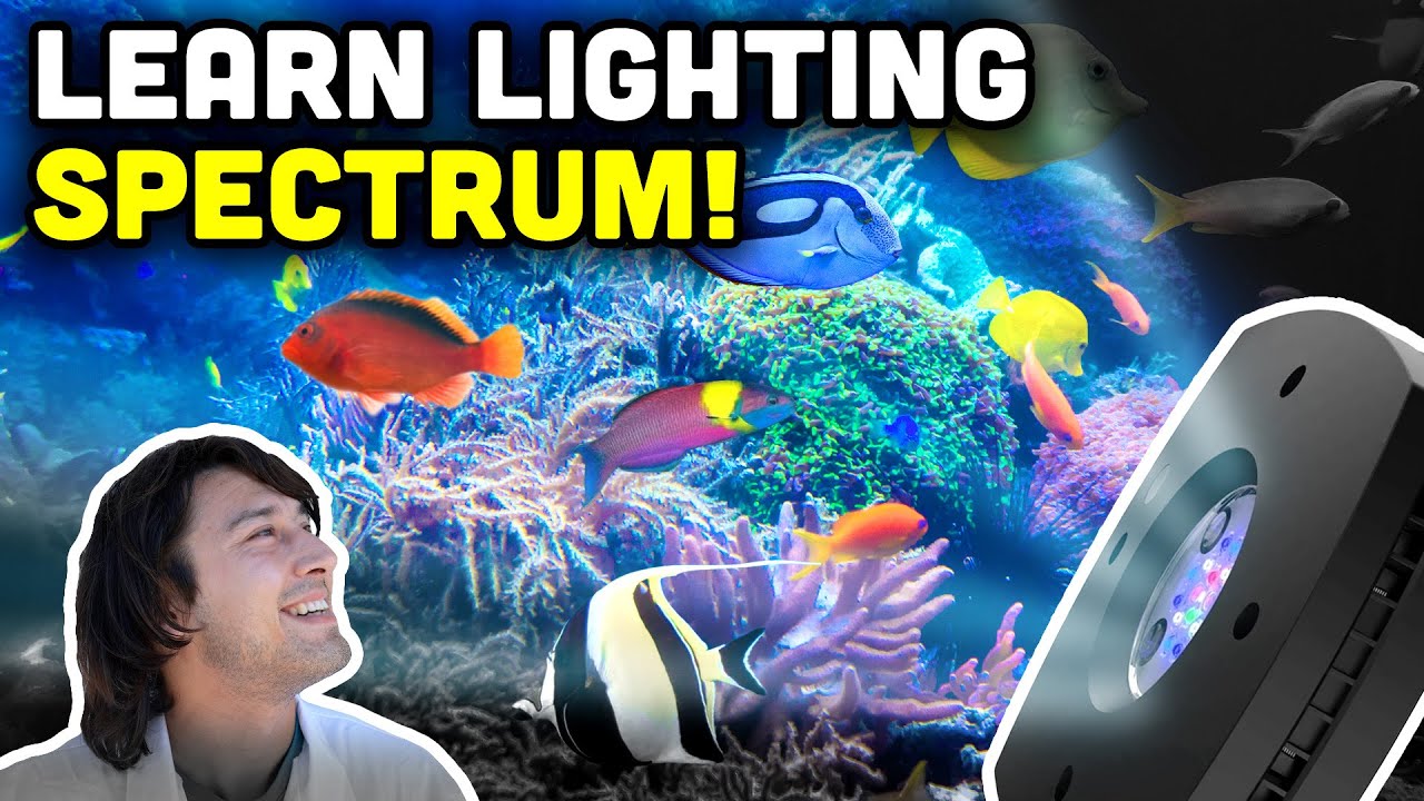 Discussing Light Spectrum in Our Reef Aquariums!