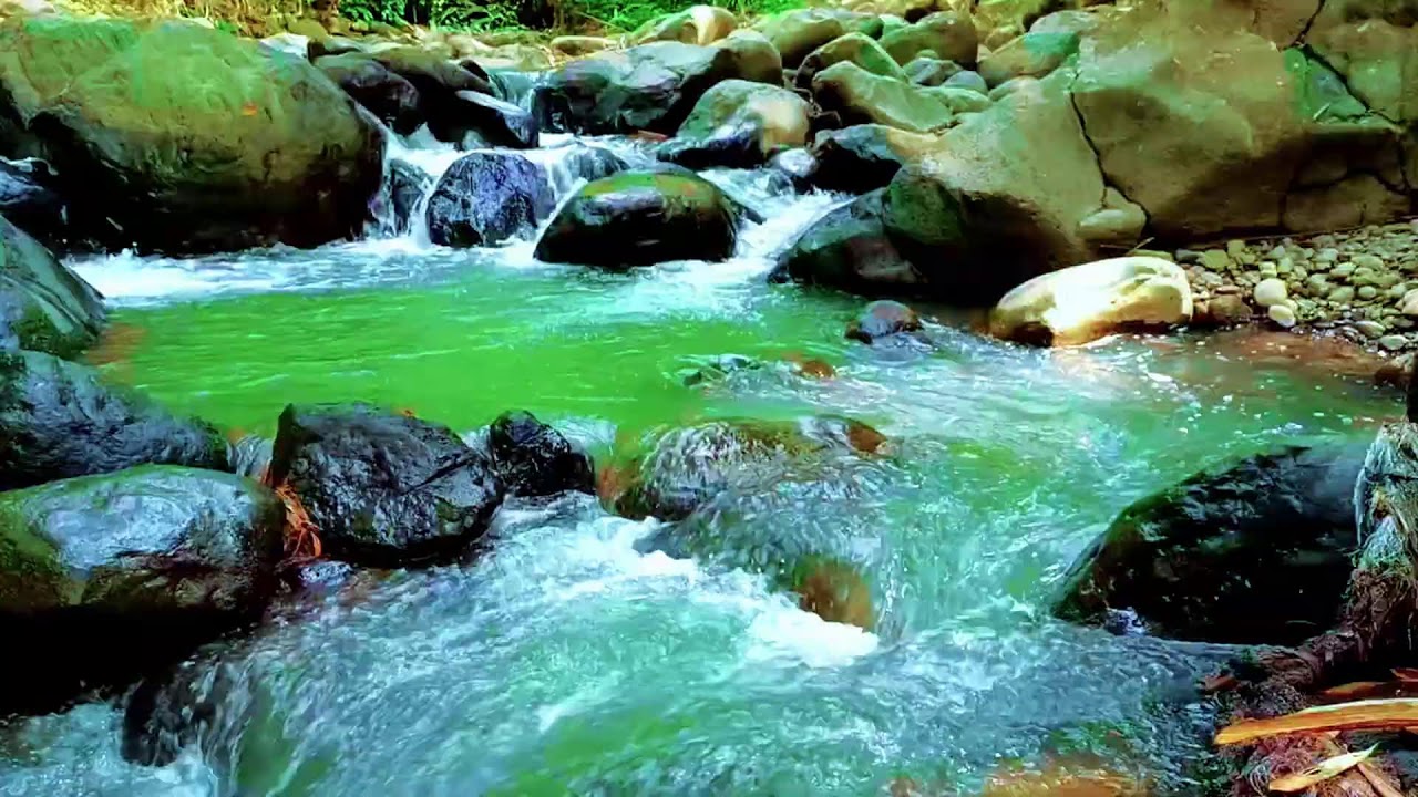 Flowing River Sounds in a Quiet Hidden Forest Ambience for Deep Sleep and Restful Recovery
