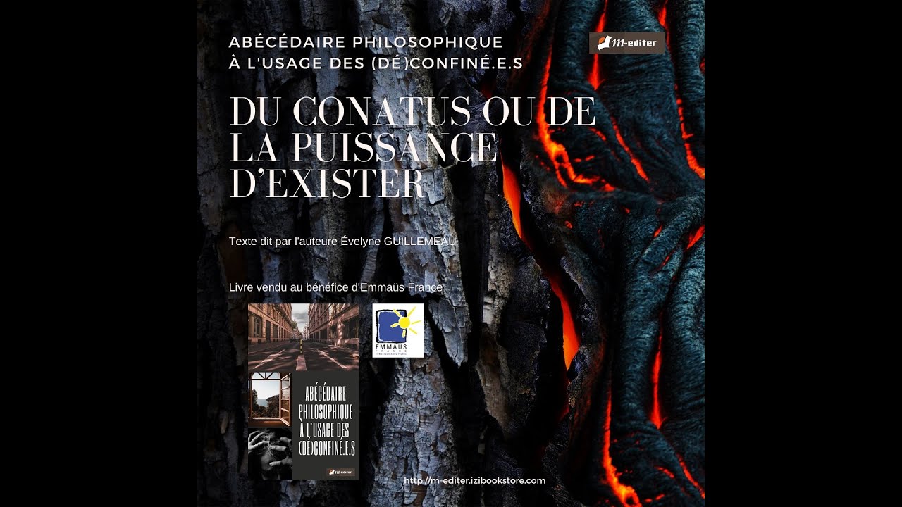 C - Du Conatus ou de la puissance d’exister, Évelyne Guillemeau