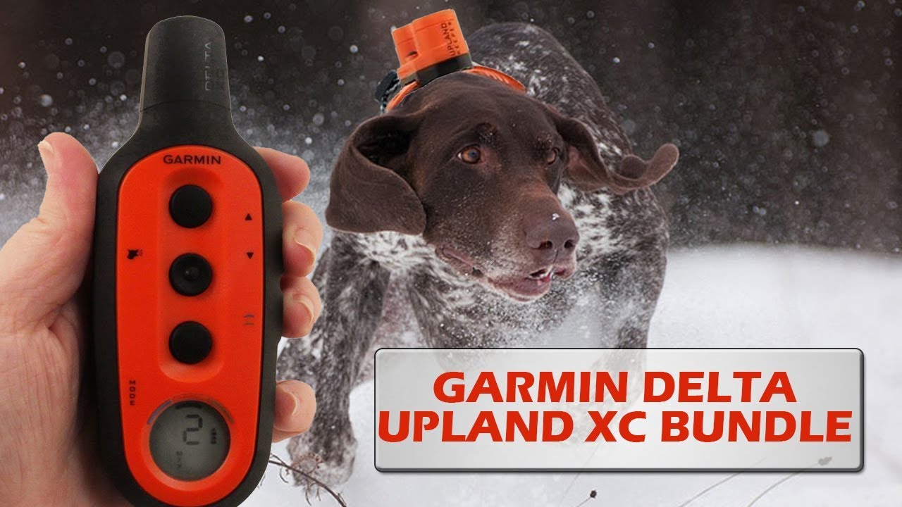 Распаковка Garmin Delta Upland XC Bundle