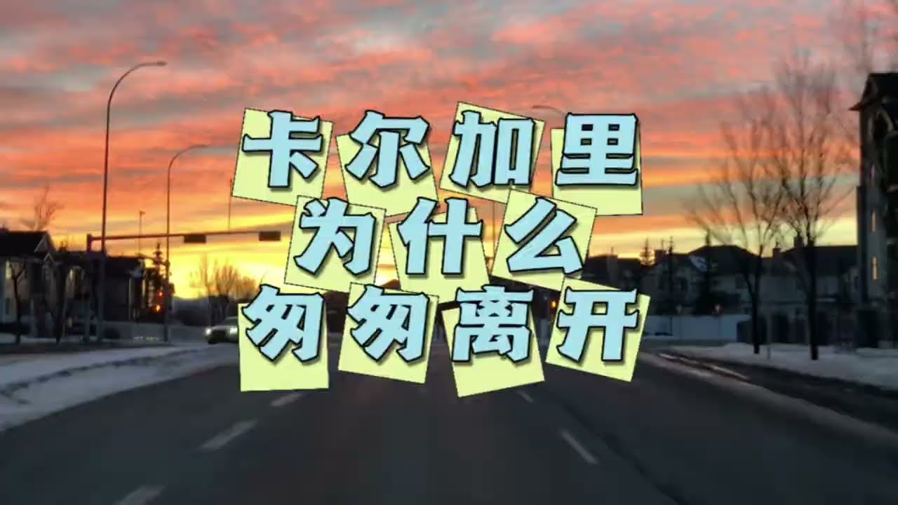 为什么匆匆离开卡尔加里