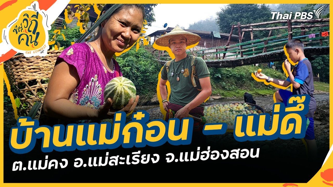 บ้านแม่ก๋อน-แม่ดึ๊ ต.แม่คง อ.แม่สะเรียง จ.แม่ฮ่องสอน | ซีรีส์วิถีคน