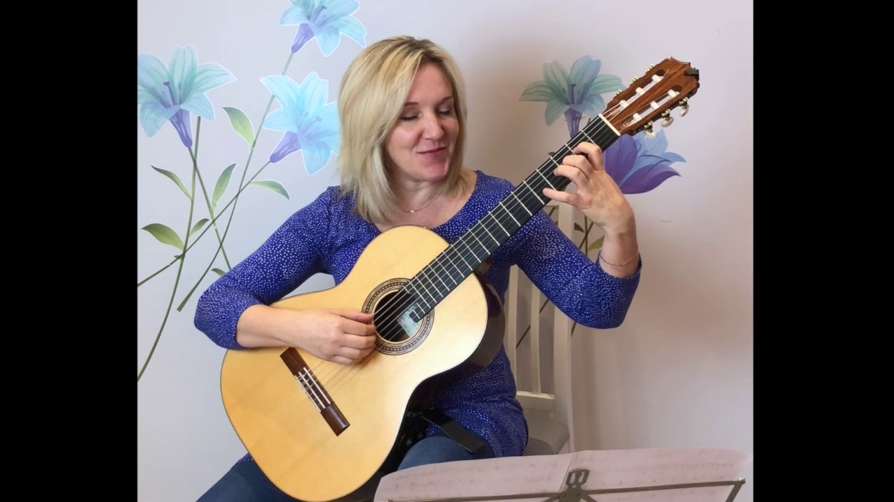Vltava by Smetana arranged and performed by Bridget Mermikides