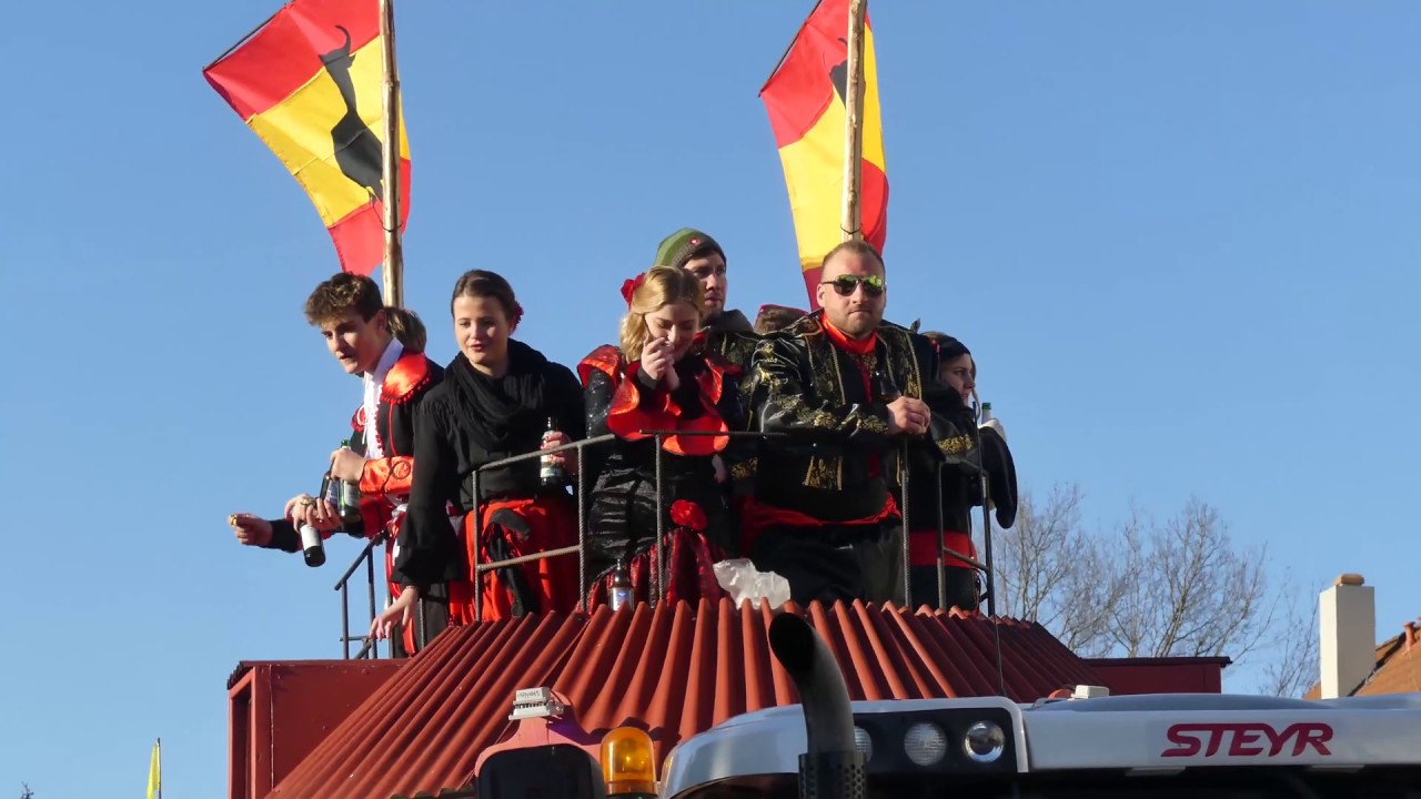 Faschingszug in Schwand 2019 - Teil 10