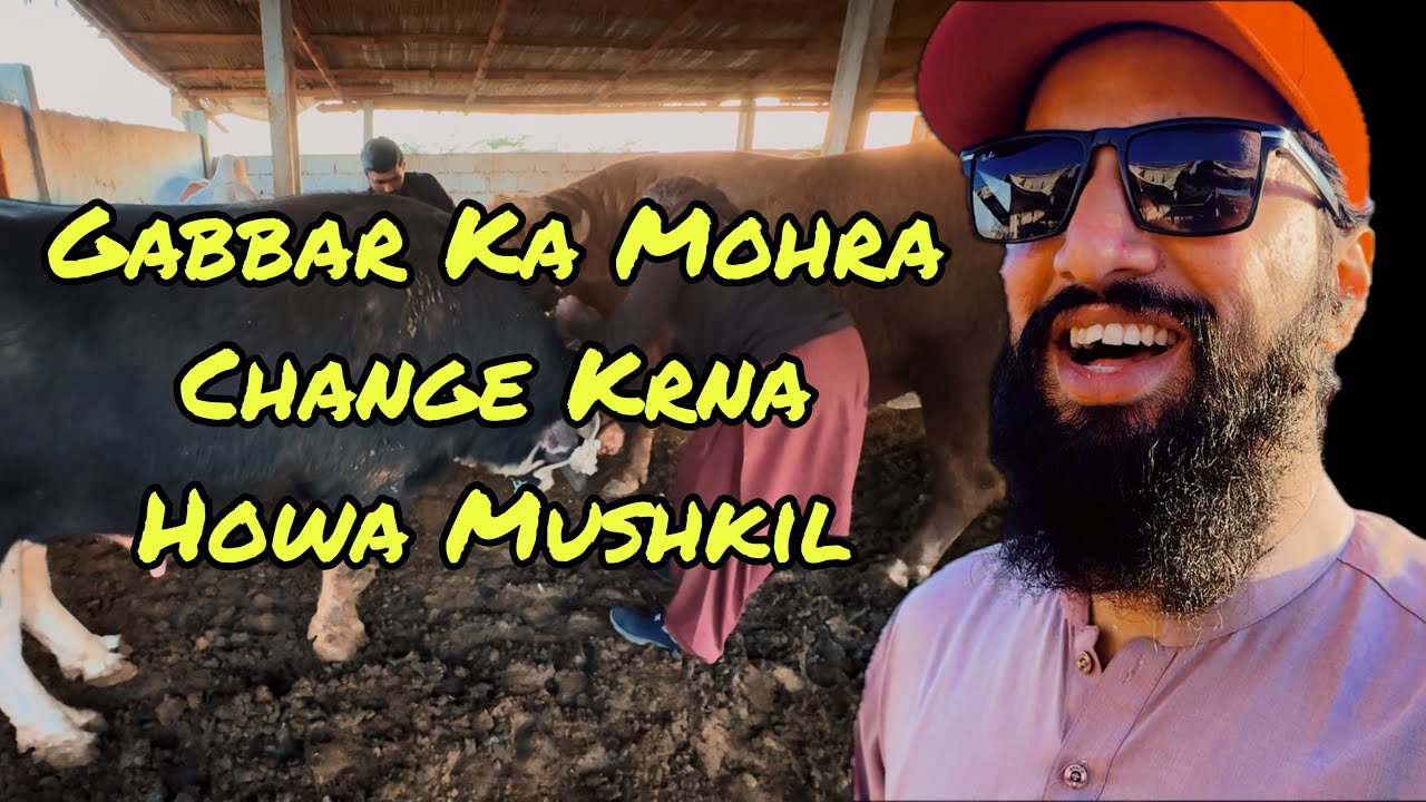 2025 Ka Legendary VLOG 💥 | Challenge 😜 | My ✋🏻 Update | AR Maani