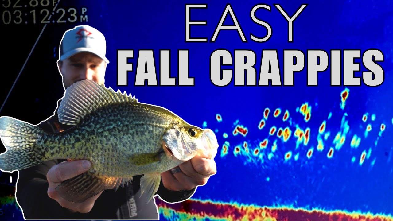 EASY Pattern For Fall Crappie Fishing (4 Steps) - Locations, Lures, & Techniques