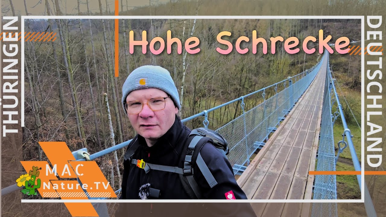 Hohe Schrecke - Ein Spaziergang kann so erholsam sein