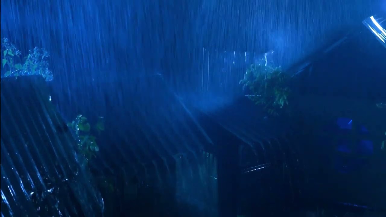 Lindra stress och sova gott | Kraftigt regn, åska på korrugerat plåttak i skogen | Låt oss sova gott