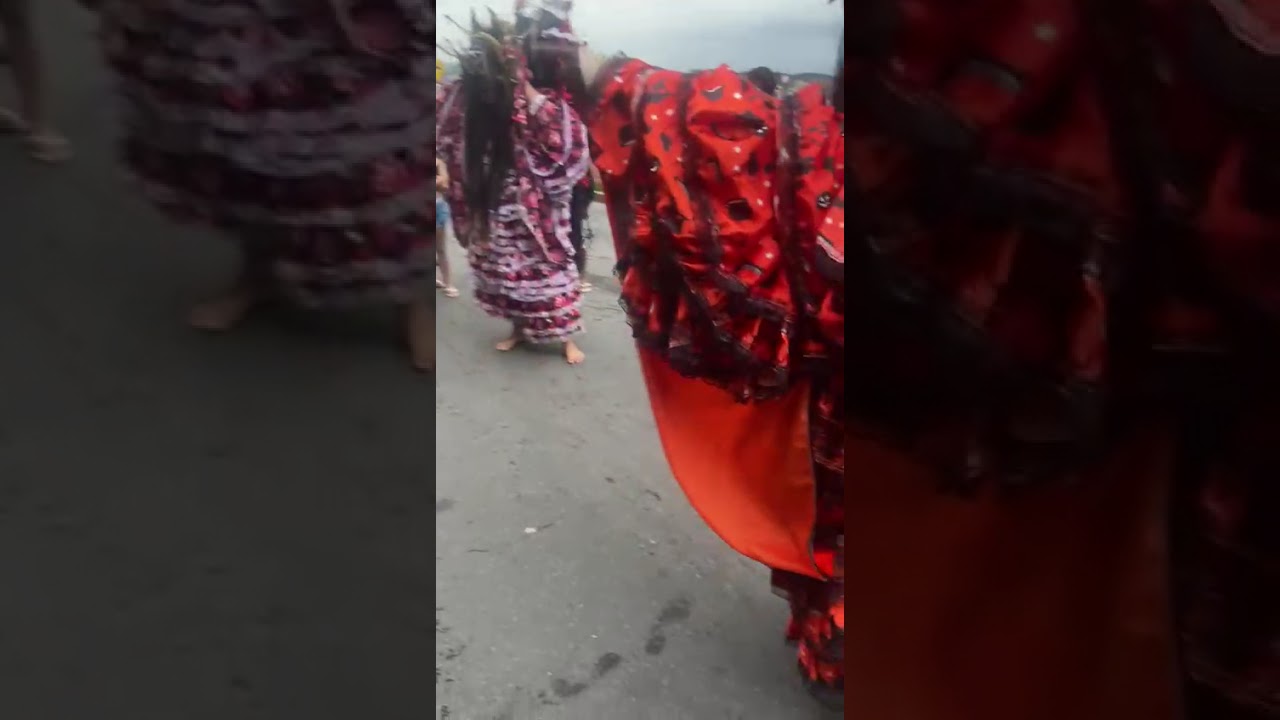 Folia de reis semente de fé