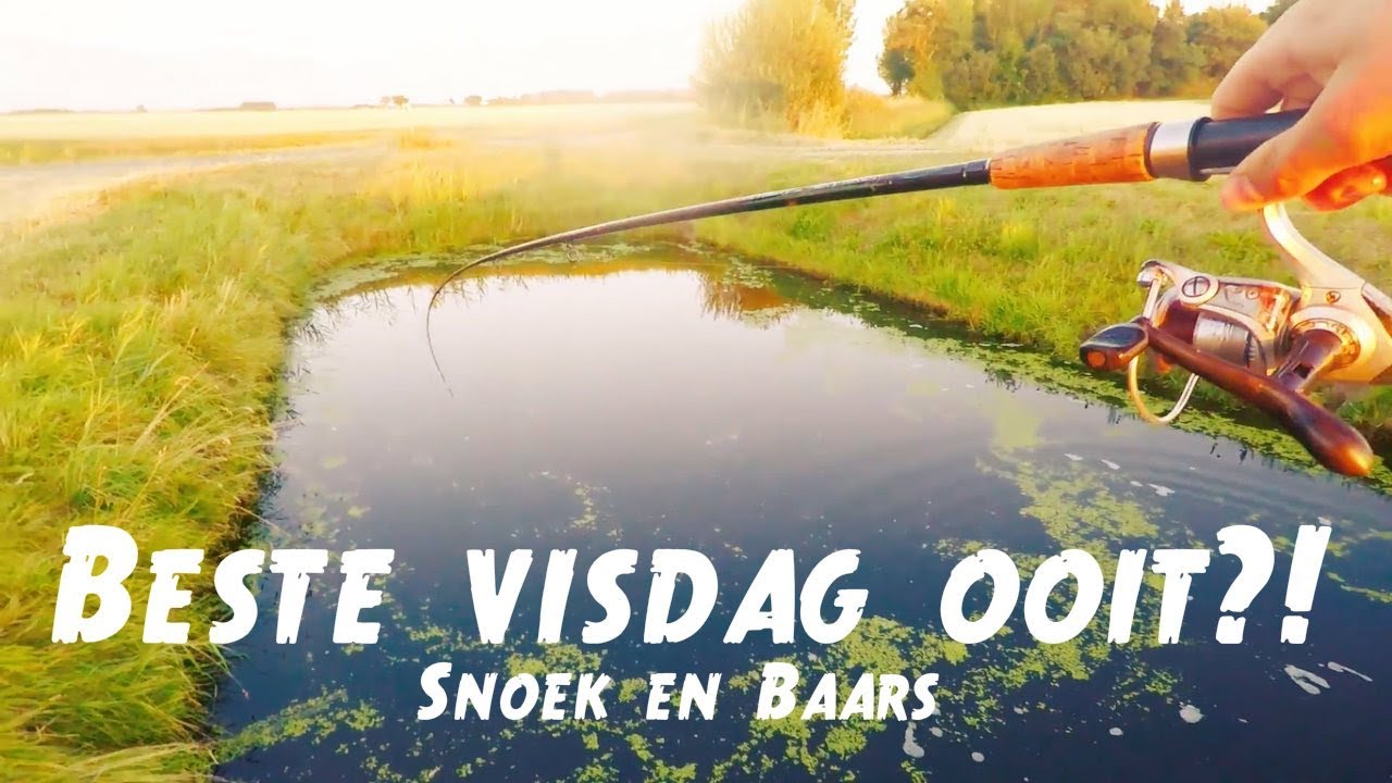 BESTE VISDAG OOIT?! LICHT MATERIAAL OP SNOEK EN BAARS