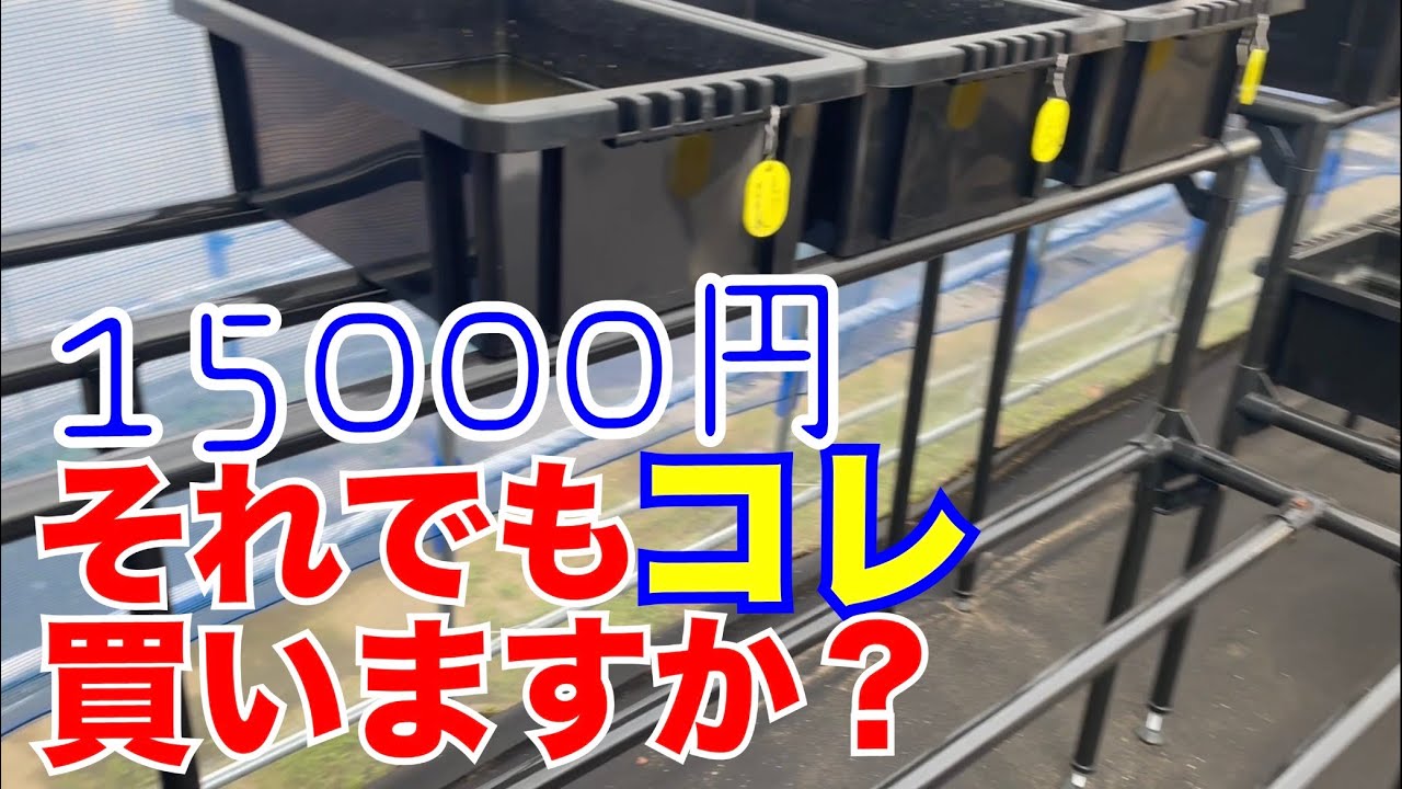 【メダカ屋】メダカ飼育用イレクターパイプラックを使ってみて、良いところと悪かったところ！