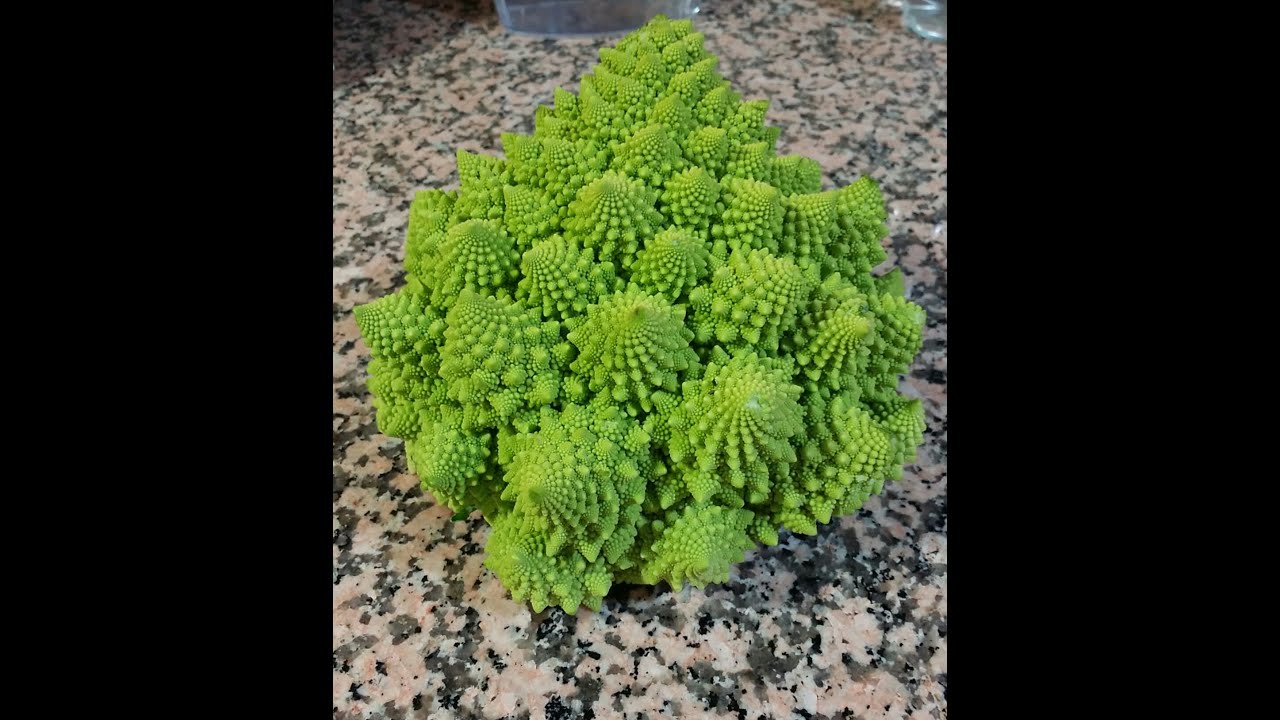 Romanesco con atún -Multicook pro-