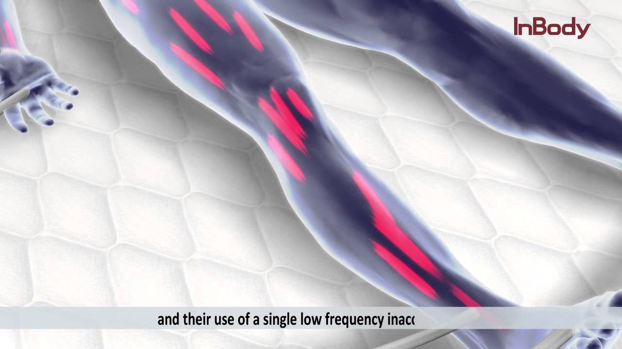InBody BIA Technology