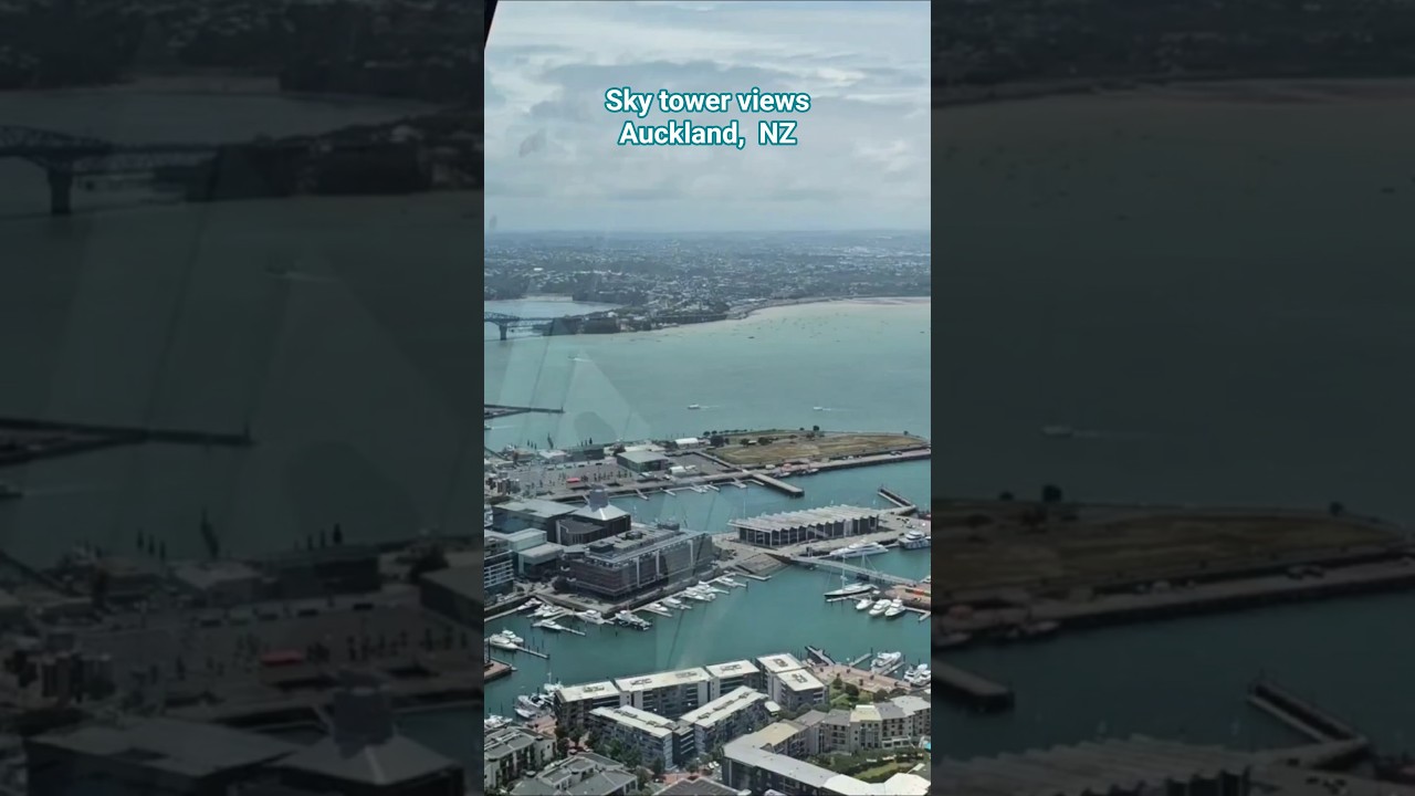 "POV: Sky Tower 360 | Auckland BEST city views | Auckland's must do | 
