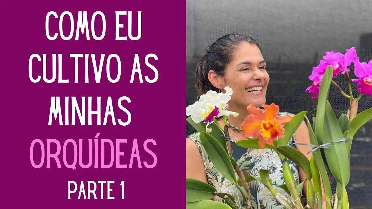 APRENDA TUDO O QUE VOCÊ PRECISA SABER PARA SUAS ORQUÍDEAS FLORESCEREM-PARTE 1-INTRODUÇÃO E AMBIENTE