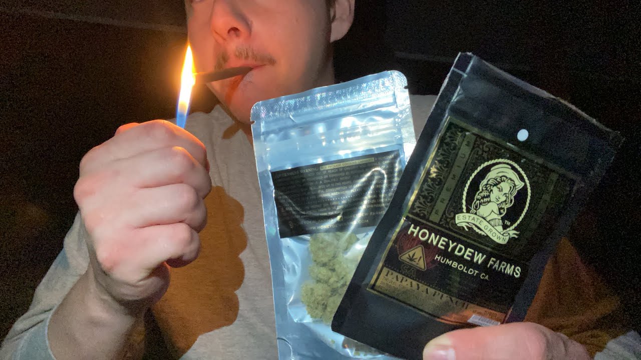 Papaya Punch Strain Review!