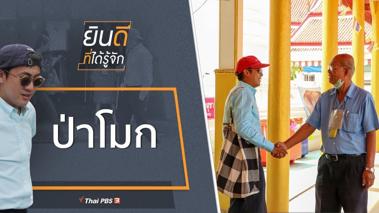 ป่าโมก : ยินดีที่ได้รู้จัก (18 เม.ย. 63)