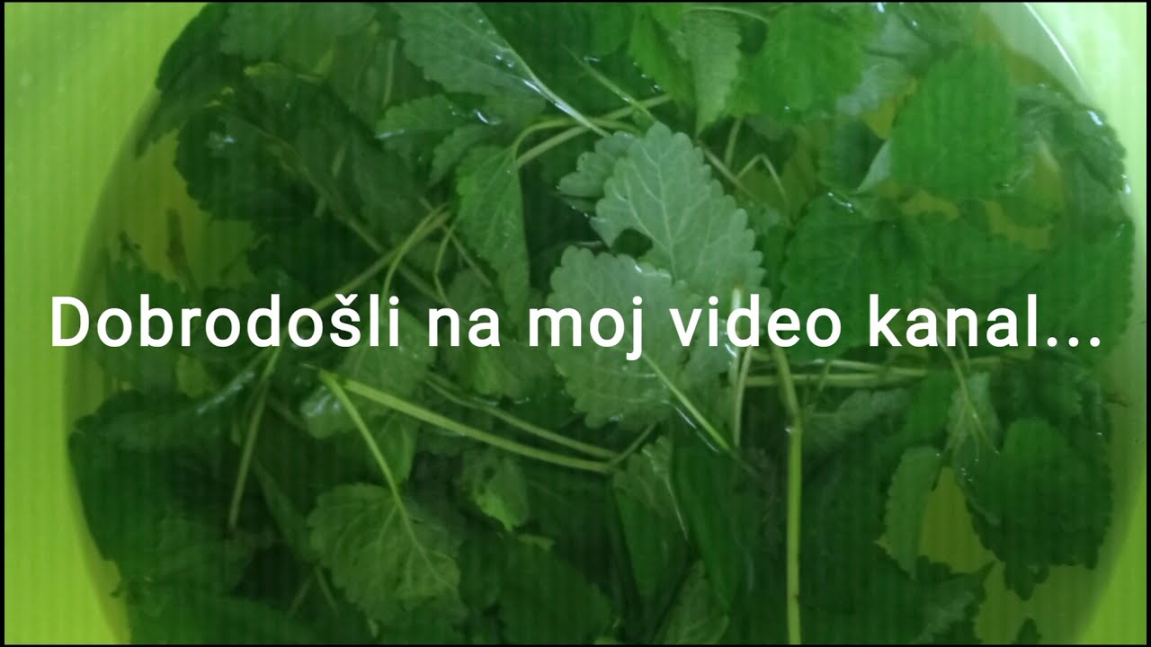 Sok od matičnjaka