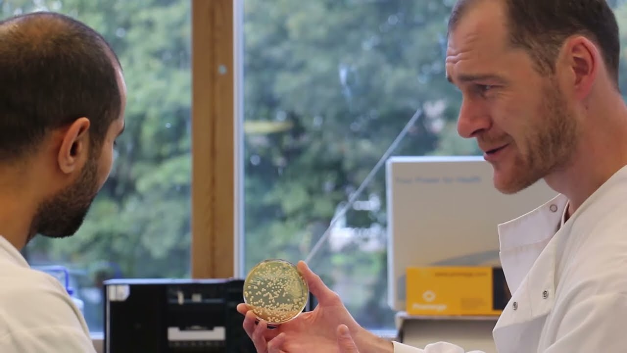 Meet the Scientist - Dr Duncan Wilson