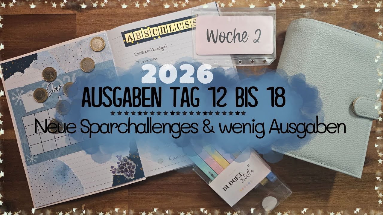 Ausgaben Tag 12 bis 18 im Januar ❄️Meine neuen Sparchallenges ❄️