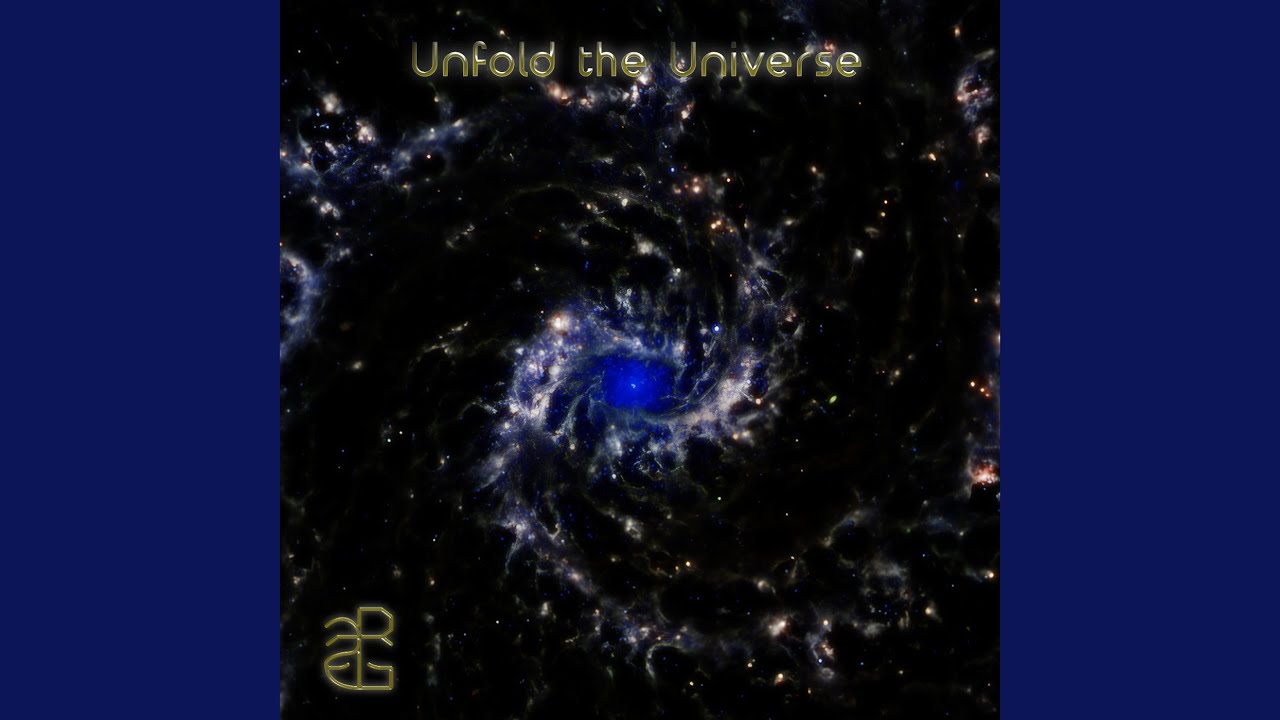 Unfold the Universe VIII: Disentangled Web
