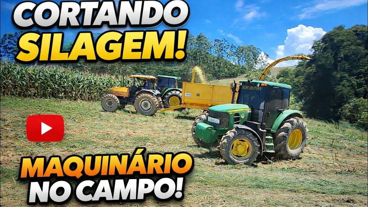 Cortando silagem andando no lado da forrageira (rende muito serviço)