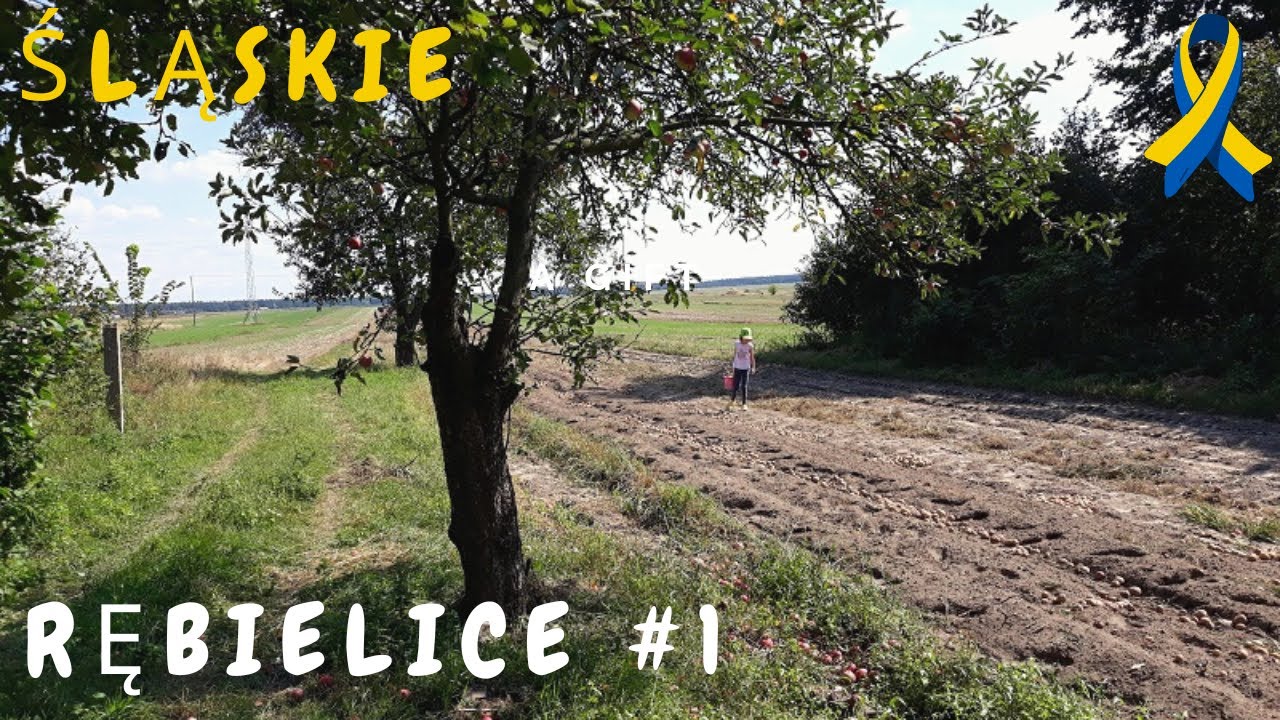ŚLĄSKIE- Rębielice