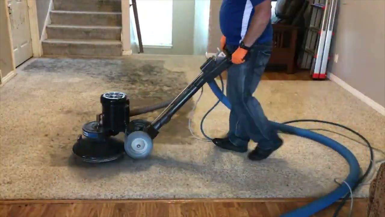 Shocking before and after carpet cleaning results buffalo