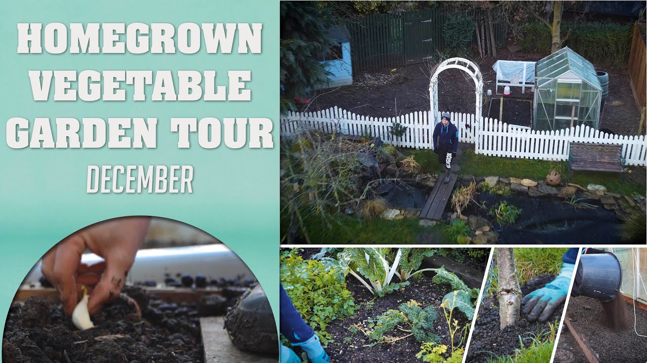 Vegetable garden tour December | Our Homegrown Vegetable Garden