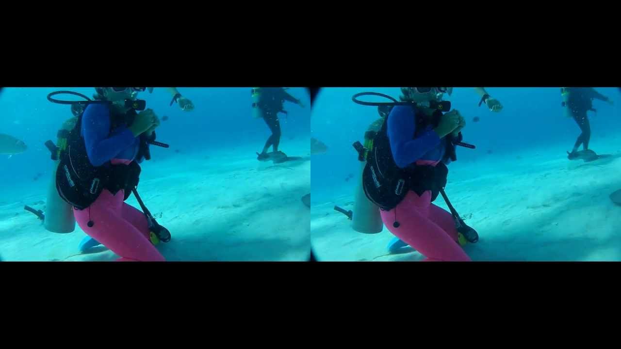 Stingray City 3D